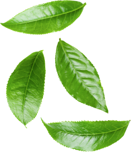 Decorative background